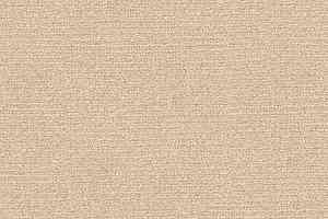 Ковролин Radici Abetone Polvere 4838 фото  | FLOORDEALER